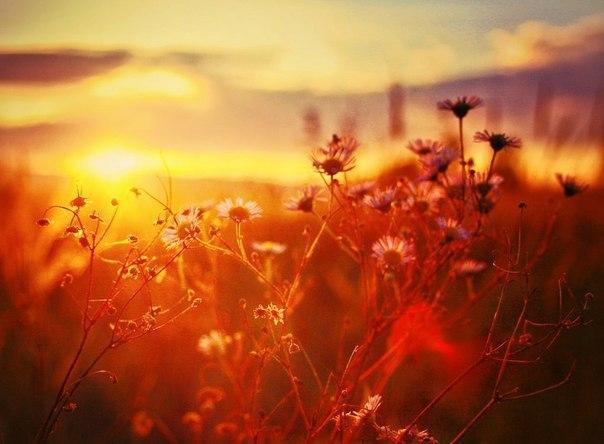 Поэту Башкирии