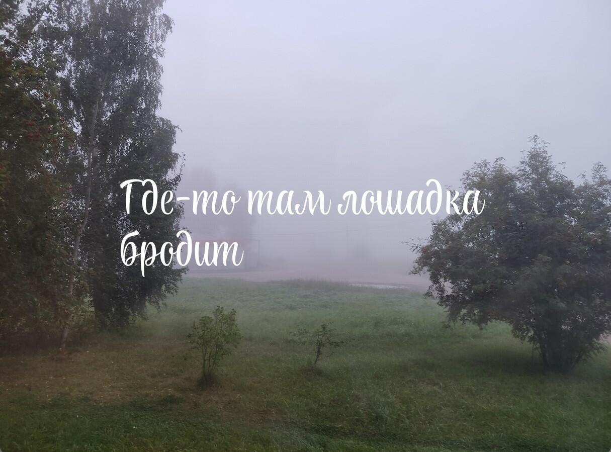 Туман