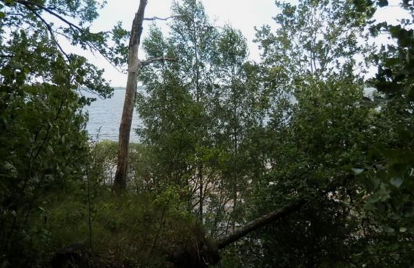 Манящий голос