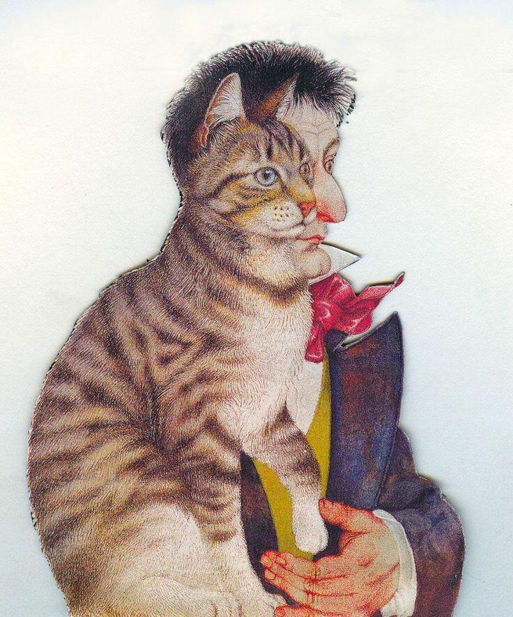 Лишь в книгах Амадея