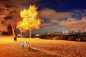 Любишь осень?