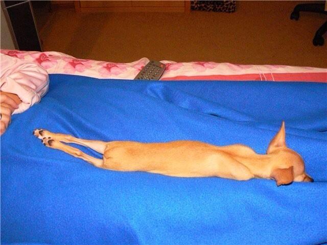 Позади веселье, юмор, шутки