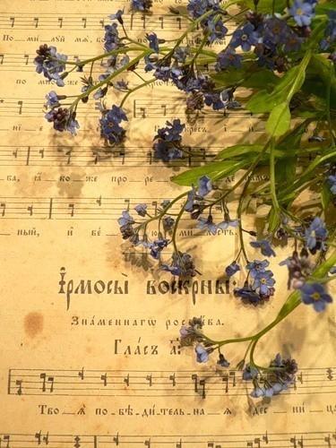 Печальный ангел...