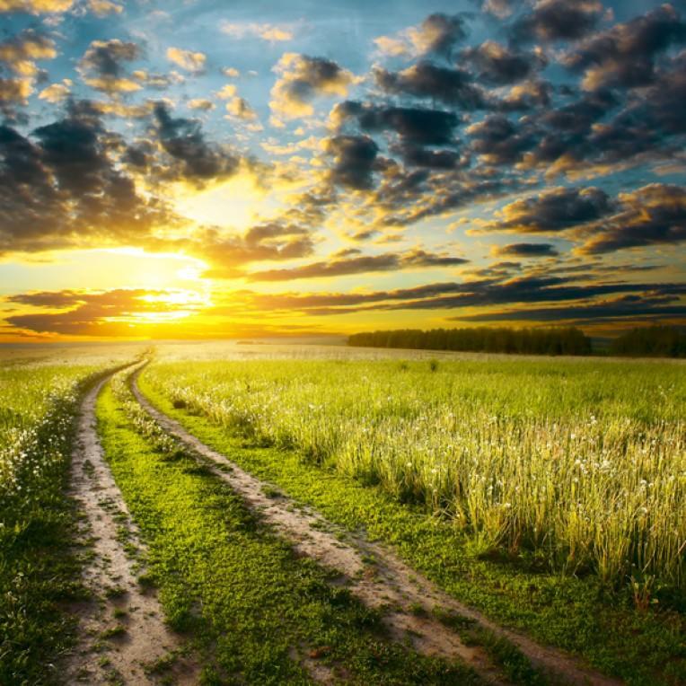 С солнцем не боюсь