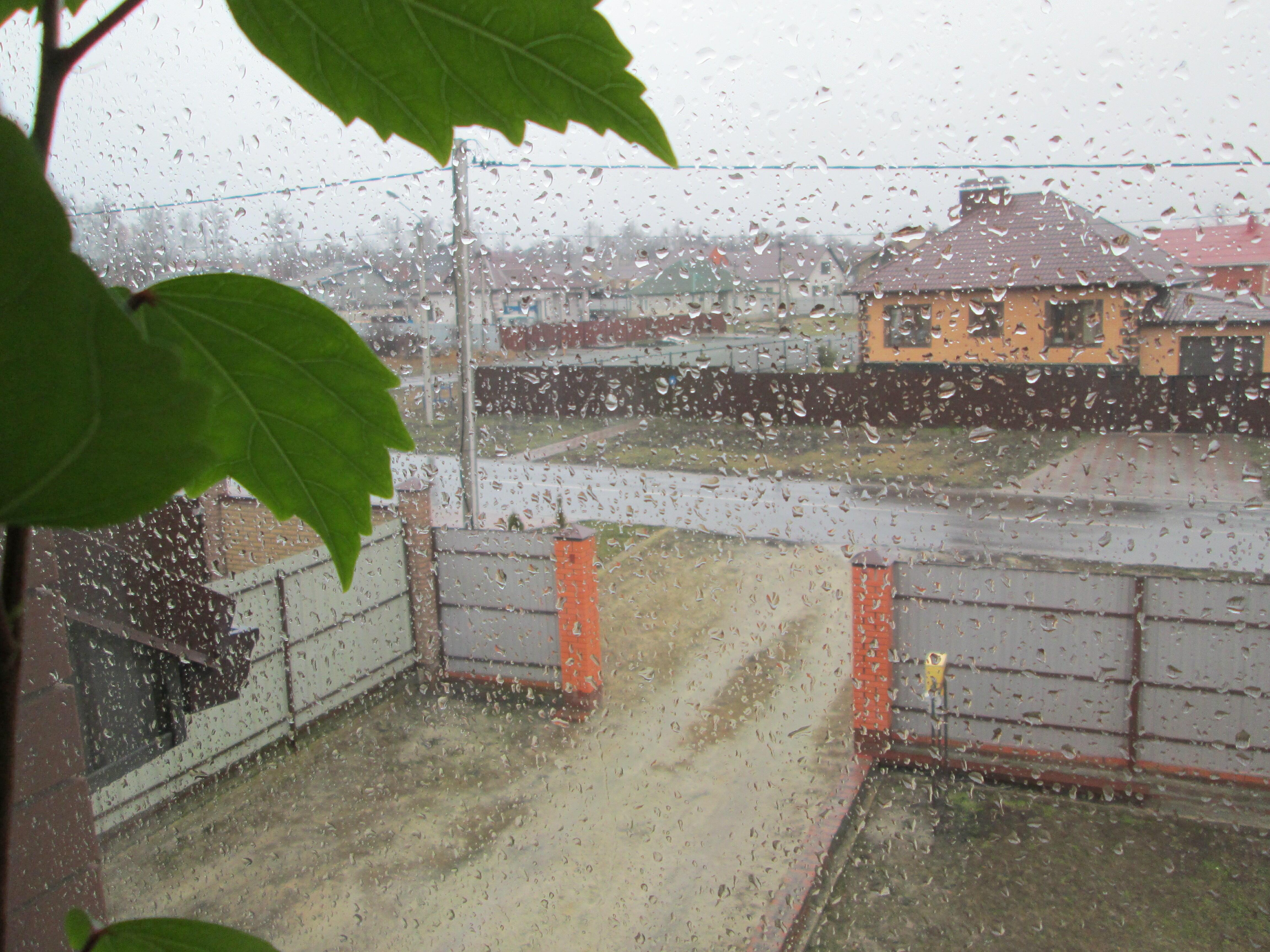 ЧТО ВПЕРЕДИ?