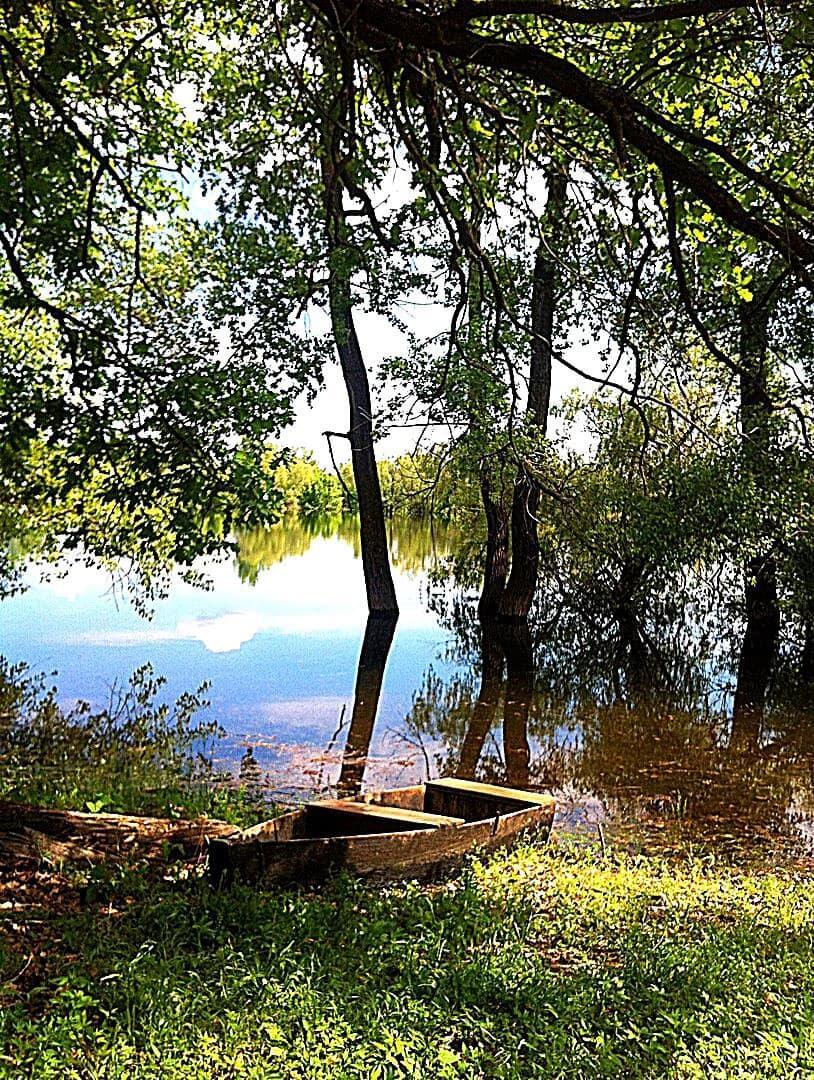 Ржавое солнышко