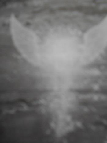 ПОЛЕТ   ДУШИ