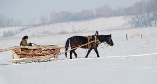 Ликуй, страна, твои герои...