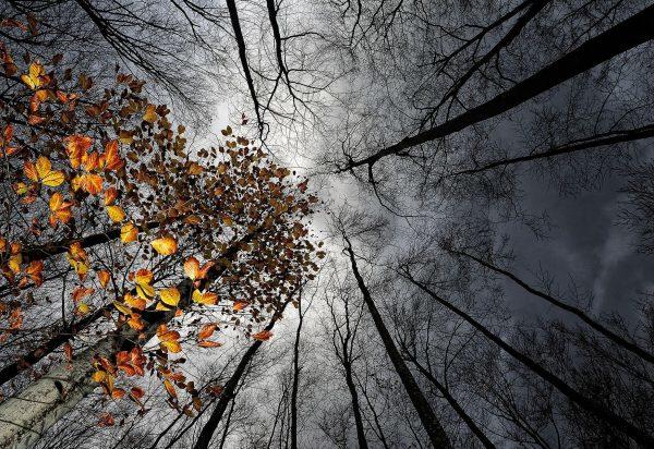 На грубом холсте...