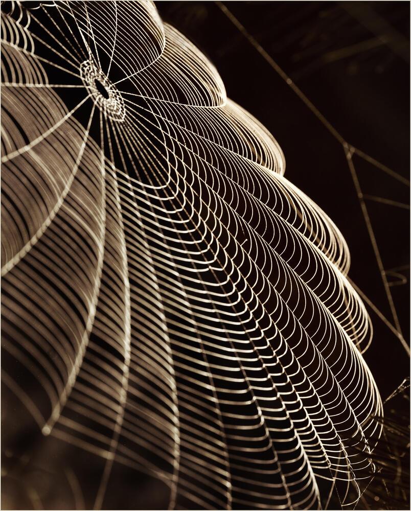 А ПАУЧОК УПОЛЗ СМЕЯТЬСЯ - ( а к р о )