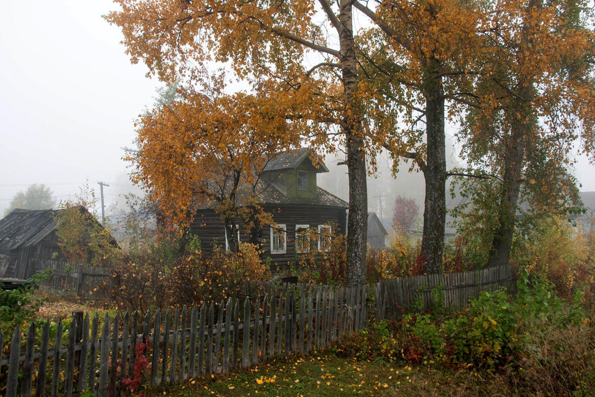 Осенний домашний. Тверская деревня осень. Осень деревня Зенькино. Деревня осенью. Деревенский домик осенью.