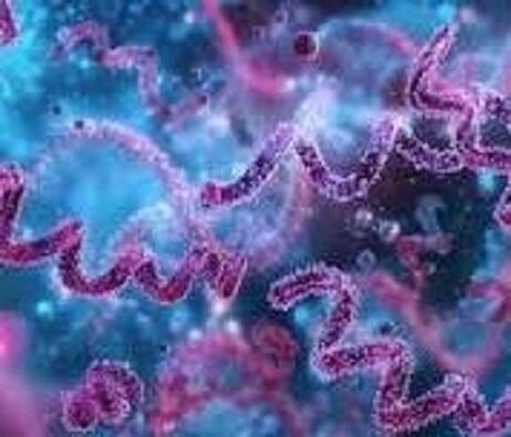 НЕЖДАННОЕ ПРИОБРЕТЕНИЕ