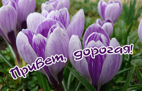 Стихи, не принятые на конкурс "Напиши мне".