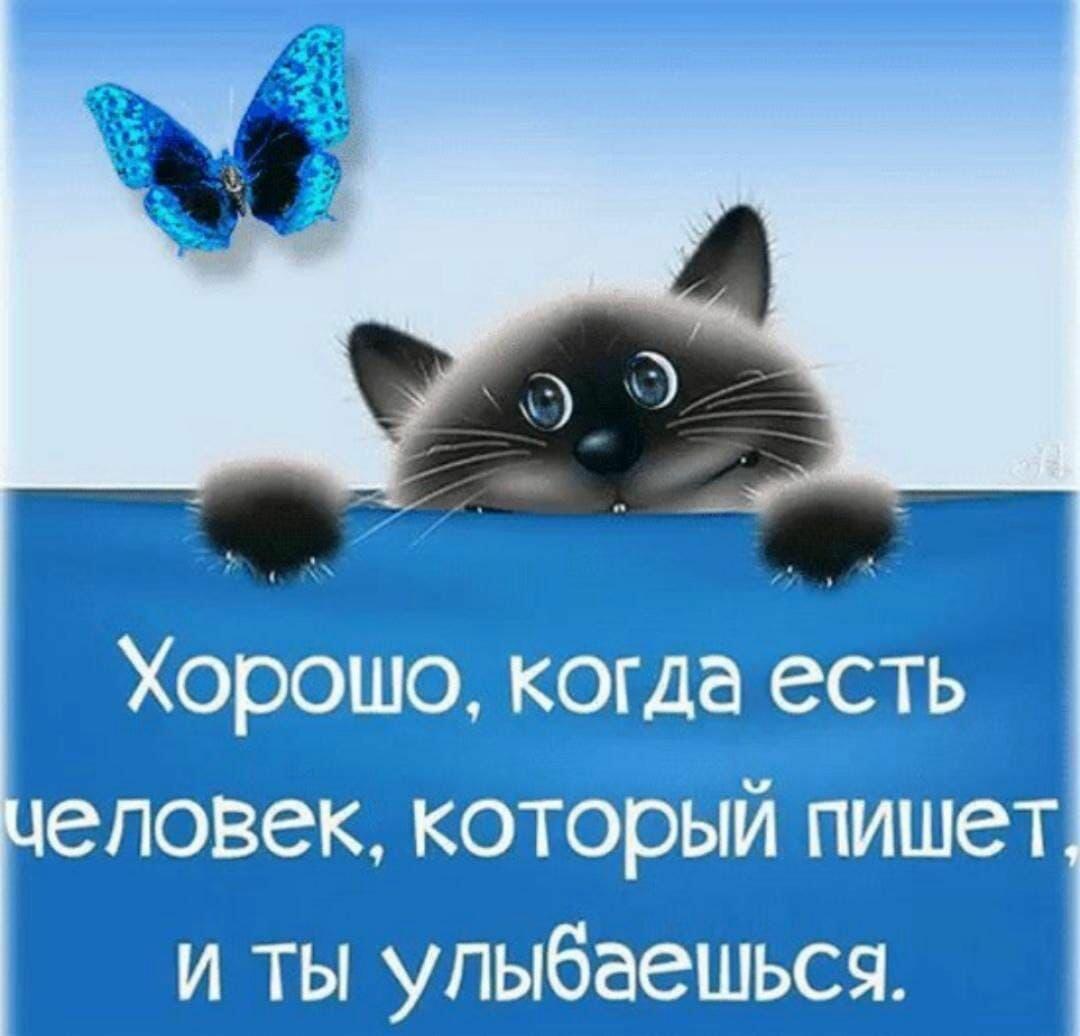 Минуты в мечте коротаю