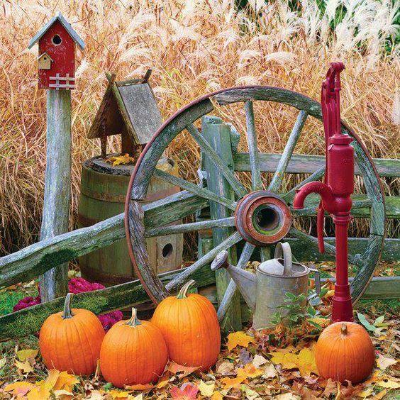 Ты пришла ко мне заброшенной собакой.