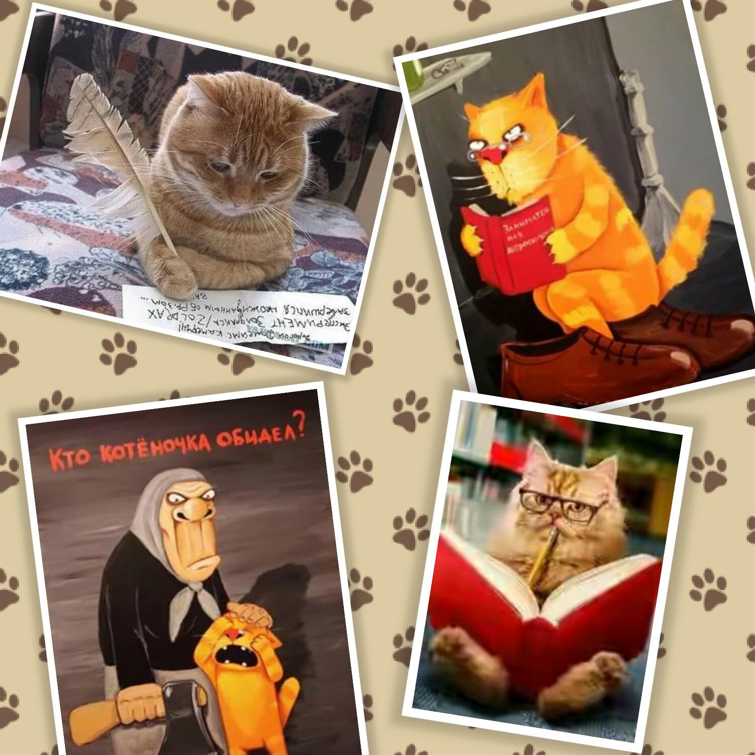 Однажды кот решил…