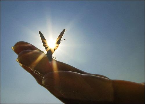 Тебе не снится...