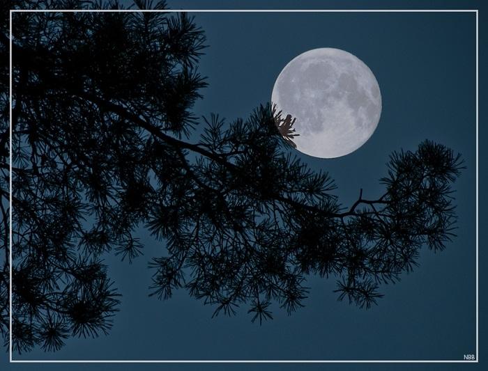 ПОБЕДИЛА  ЛЕНЬ...