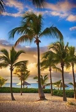 От тоски мне душу не спасти.