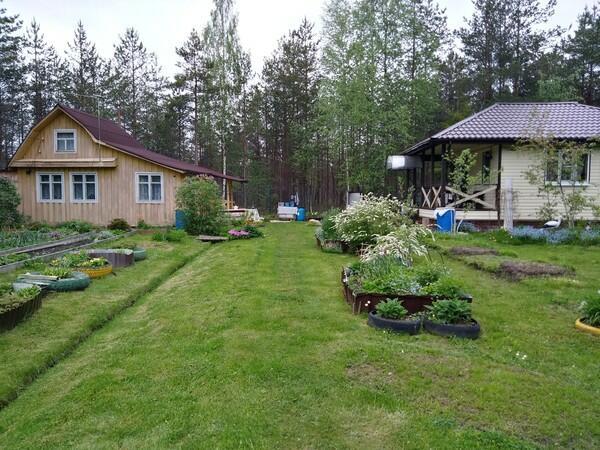 У ЛУКОМОРЬЯ