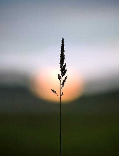 О смерти (м)