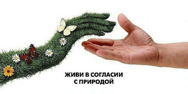 ГОРАЗДО БЛИЖЕ МИР ЛЕСНОЙ...