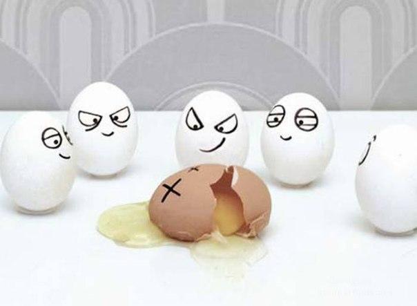 Проснулось яичко...