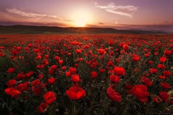 Ласкает ветер солнце в волосах