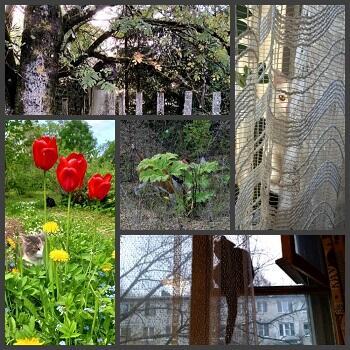 Все коты играют в прятки! /коротыш/