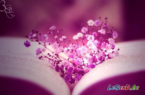 Без названия