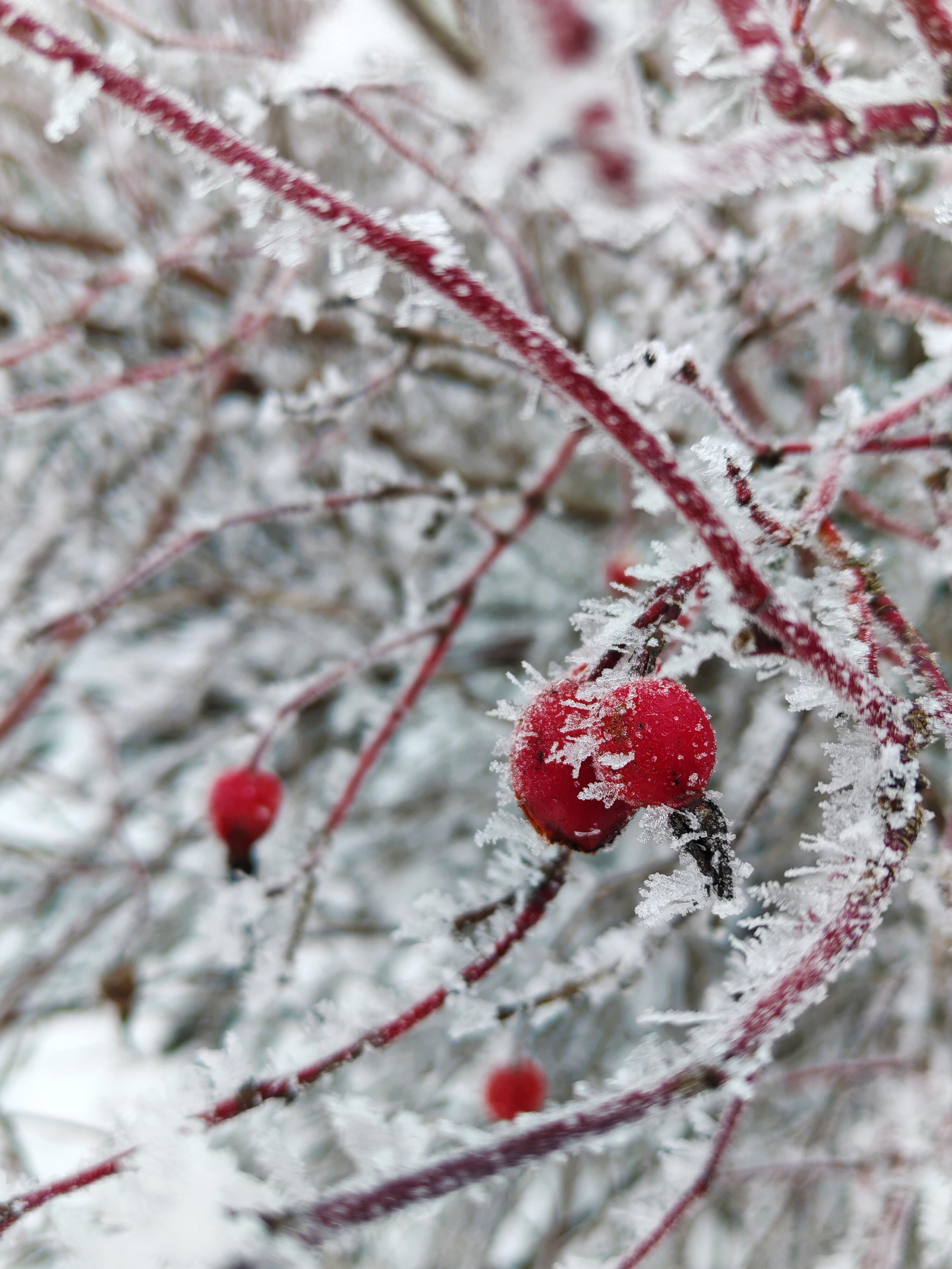 Затерялась зимняя дорога