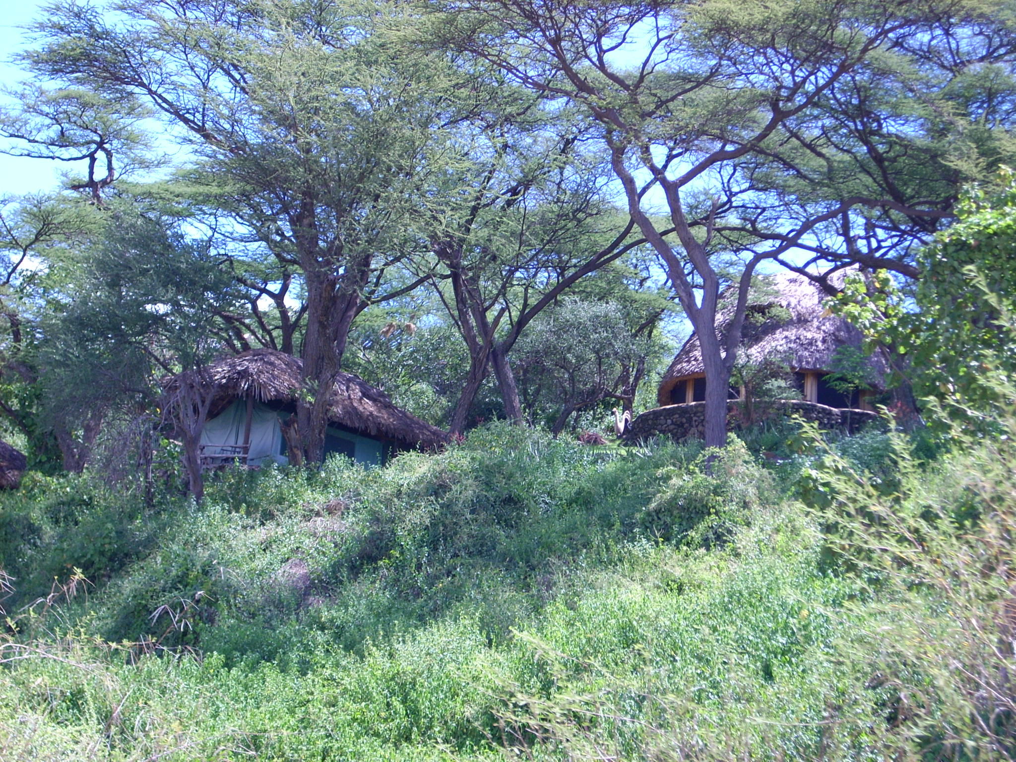 Не будь в своих глазах умнее всех