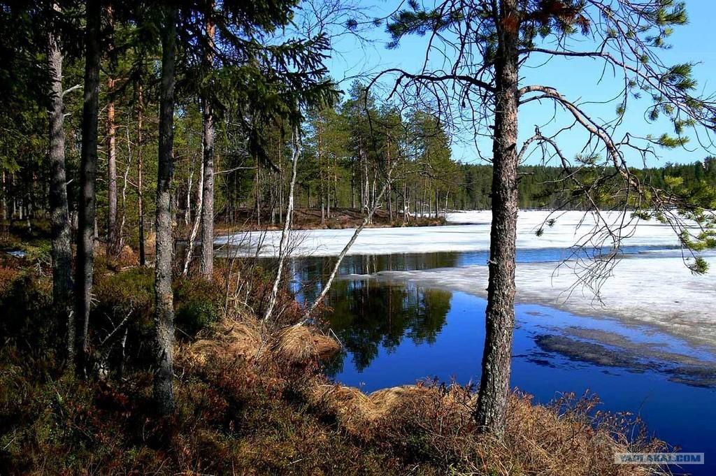 Зима,как солнца стало мало.