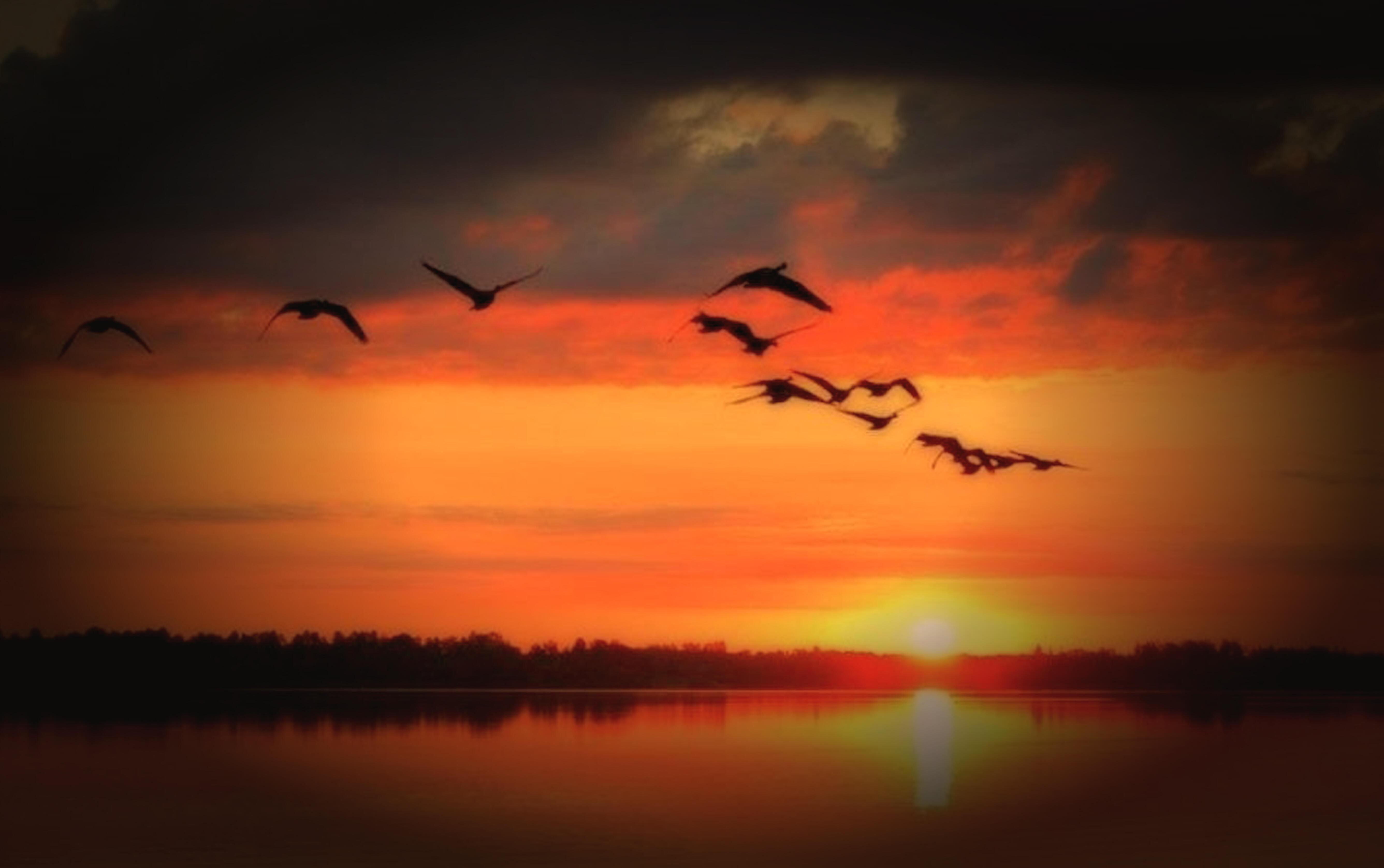 «Вот такая была жизнь»