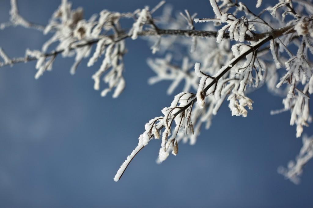 За спиною два крыла