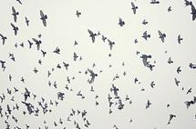 собраться бы...