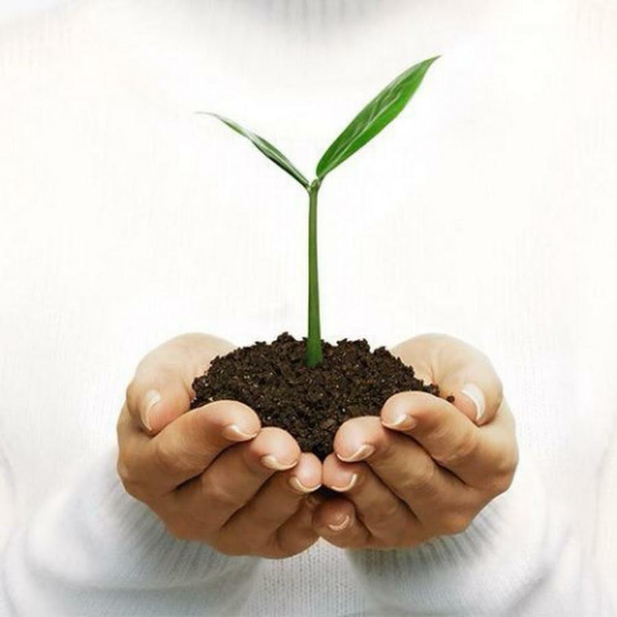 Боль - это совсем не страшно