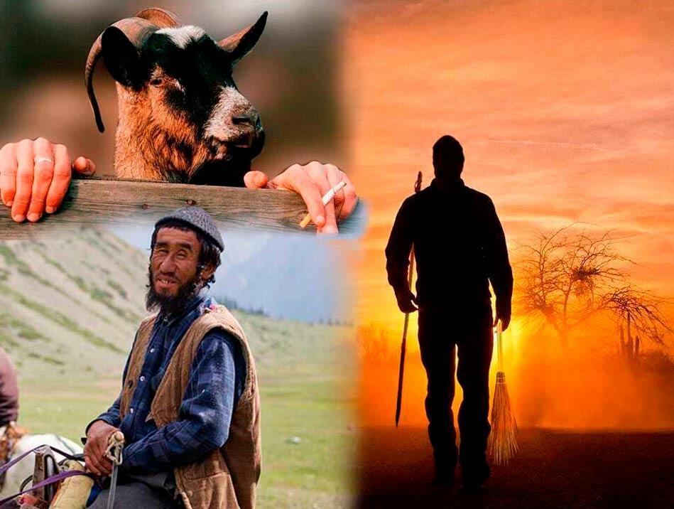 Жаркое лето 2018-го (Истории нашего городка)