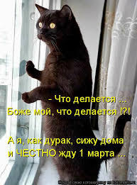 Про кота (ответка Rain_Beats)