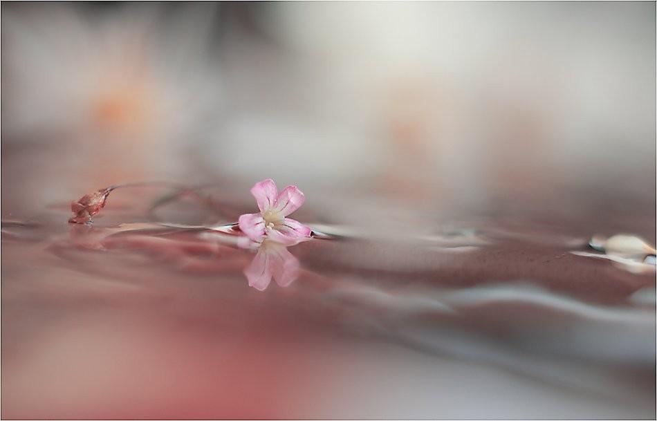 Я задыхаюсь...