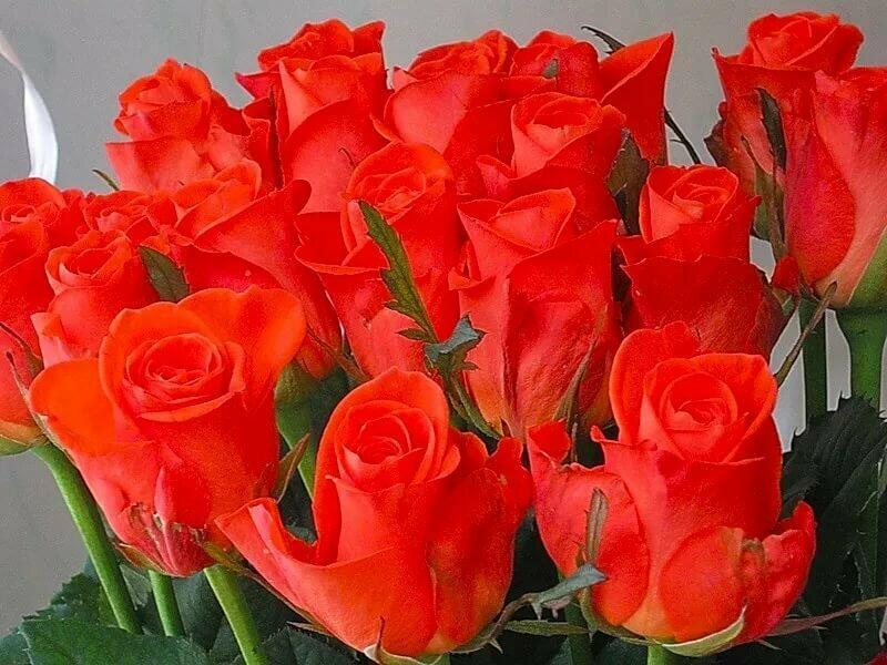 Смоленская история