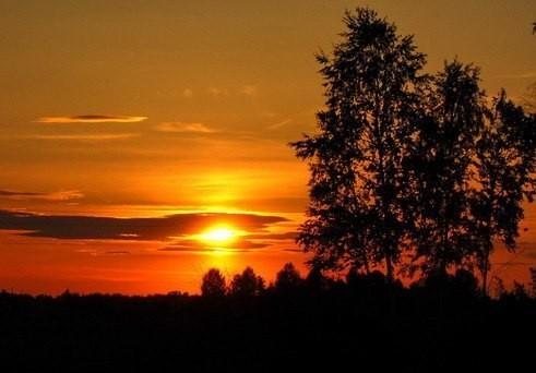 Пусть закат над рощею горит.