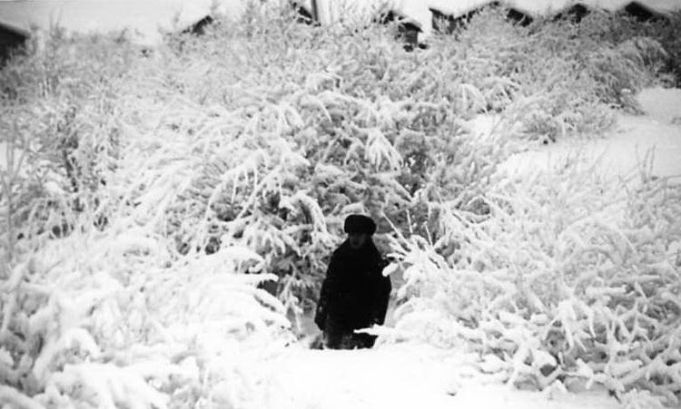 Мы соблюдаем правила зимы