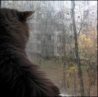 пасмурно-осеннее