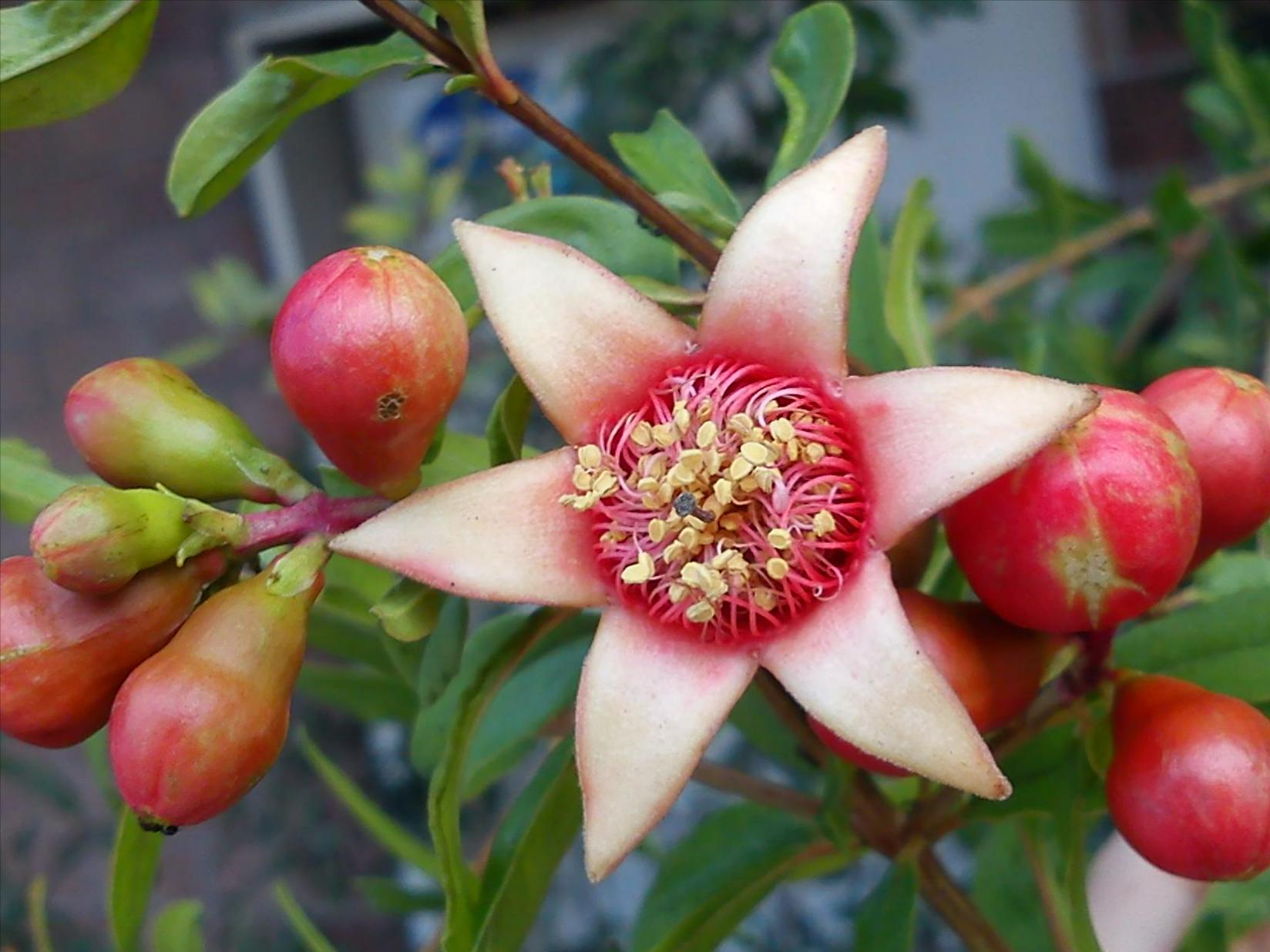 Притчи, глава 4 - перевод с иврита