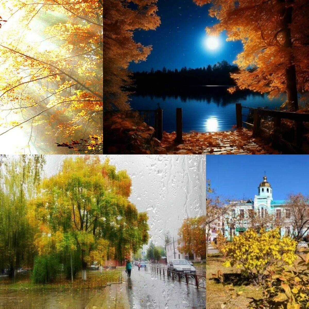 Осенние лучики