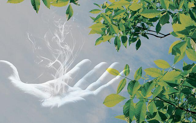 Разбежаться по теплу и - в небо...