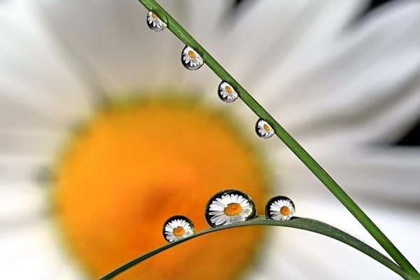 Кто крайний