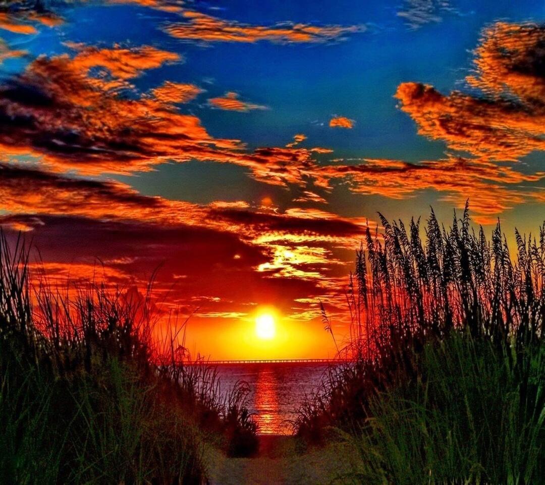 ОКТЯБРЬ  ЗЛАТОКУДРЫЙ  УБЕЖИТ