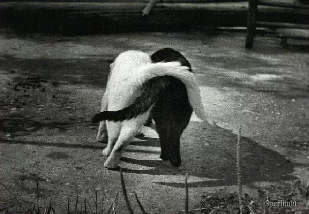 Лишь крепче...